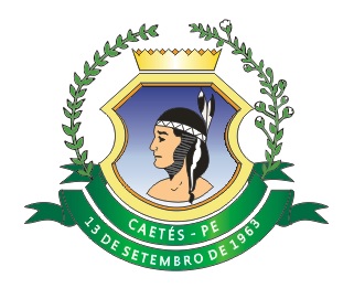 Brasão ou Logomarca do Ente